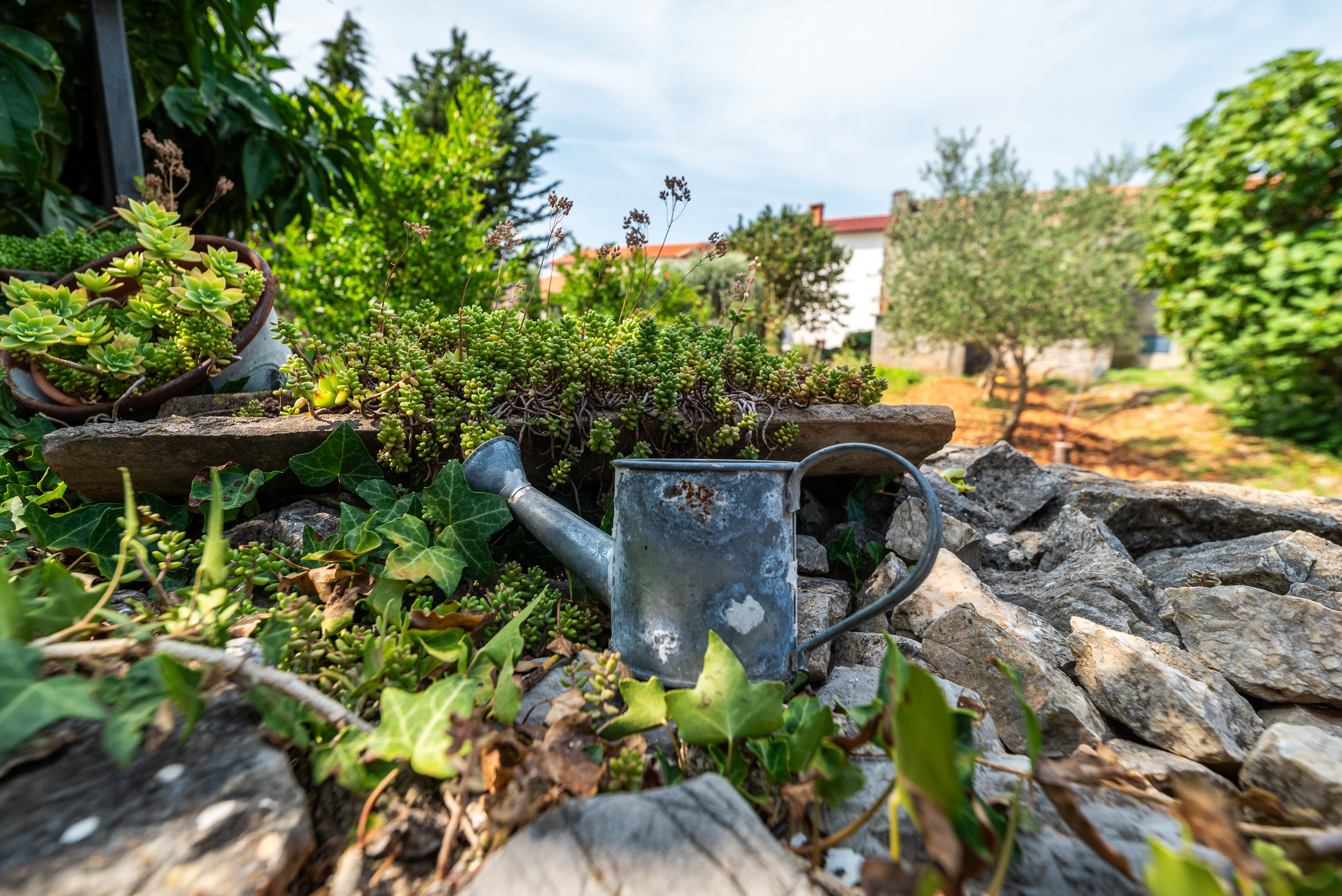 Krčka kuća 1 detalj - mini zalivarnik na gromači